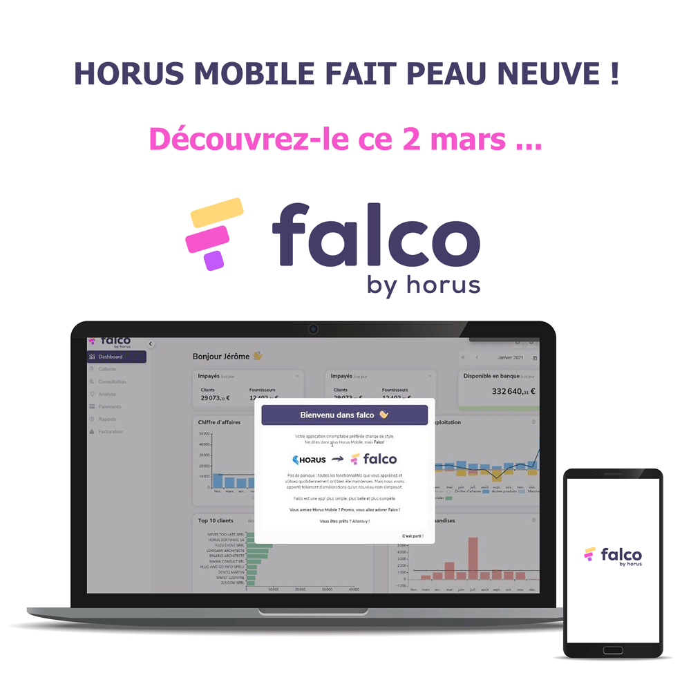falco-ancien-horus-mobile-application-web)mobile-comptabilite-webinar